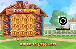 The Dog House Screenshot 1